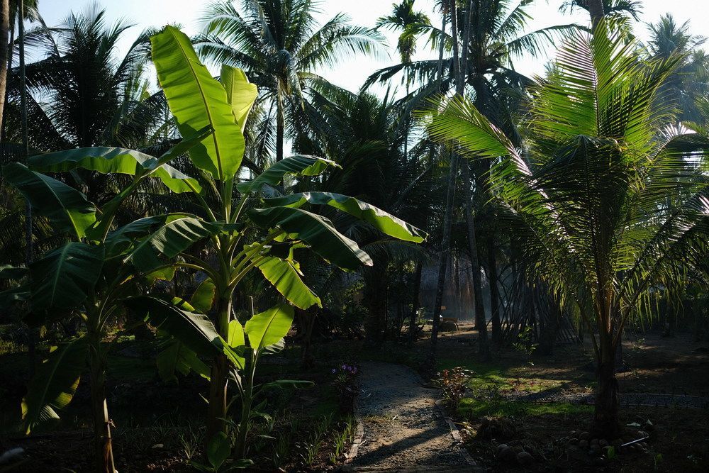 Mekong Home Ben Tre Exterior photo